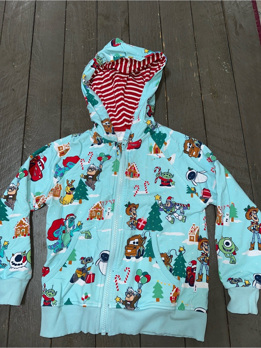 Little Sleepies Light Blue Holiday Character Zip Hoodie